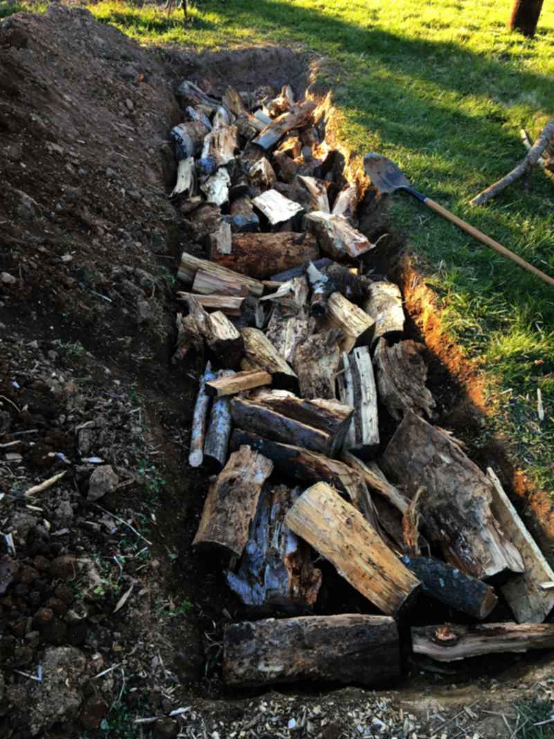 hugelkulture hole with logs