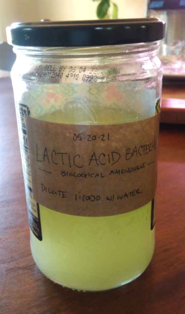 lab finished in labeled jar
