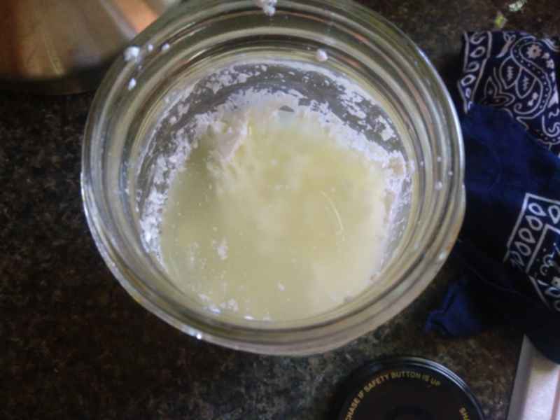 lactic acid bacteria in jar